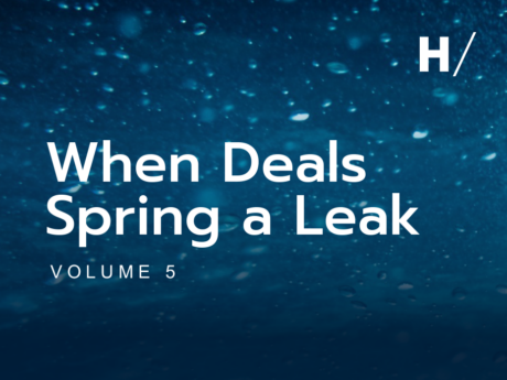 When Deals Spring a Leak Volume 5 - 2025 M&A Leaks Report